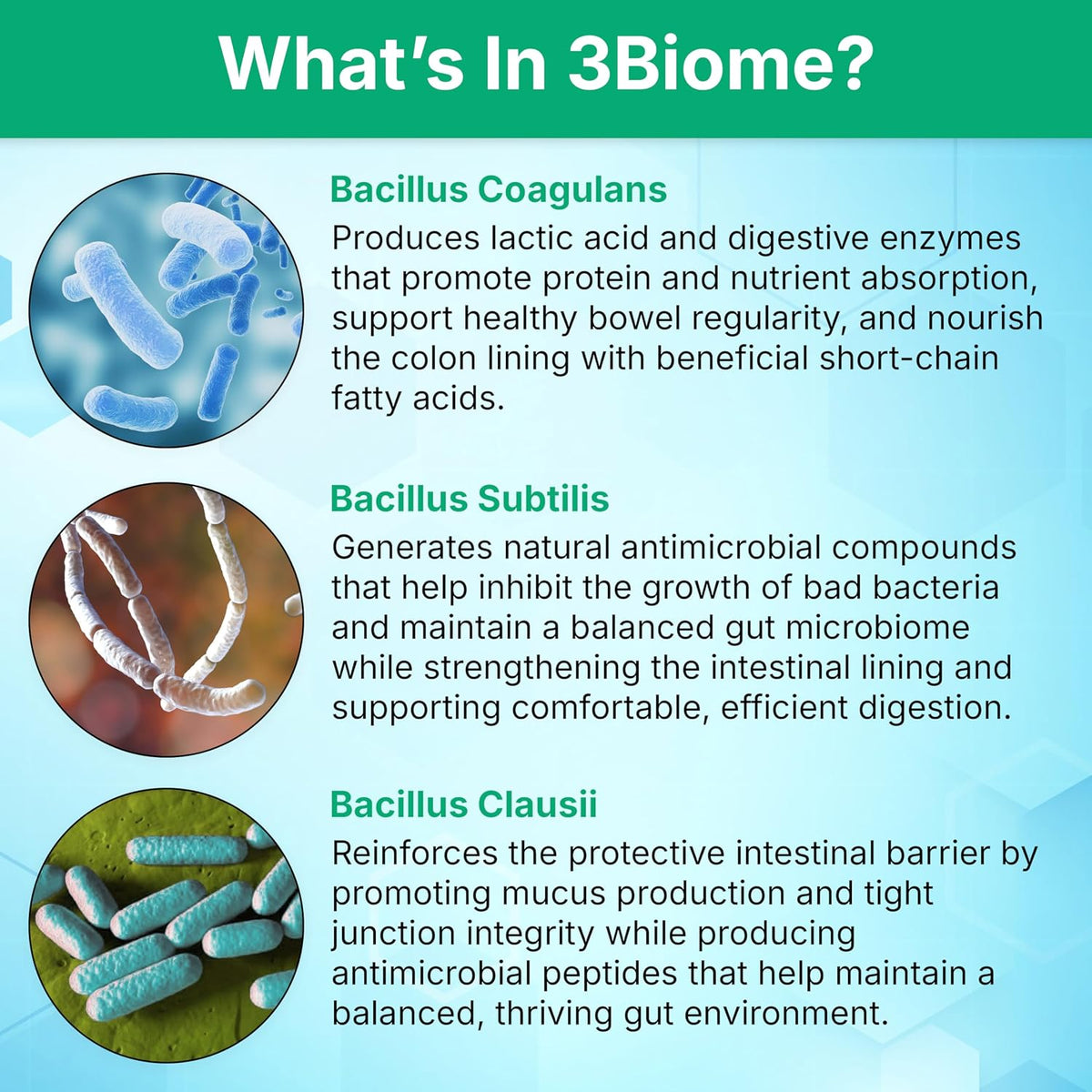 3Biome Natural Probiotic Supplement for Gut Health, Vegan, Gluten-Free 30 Vegetable Capsules