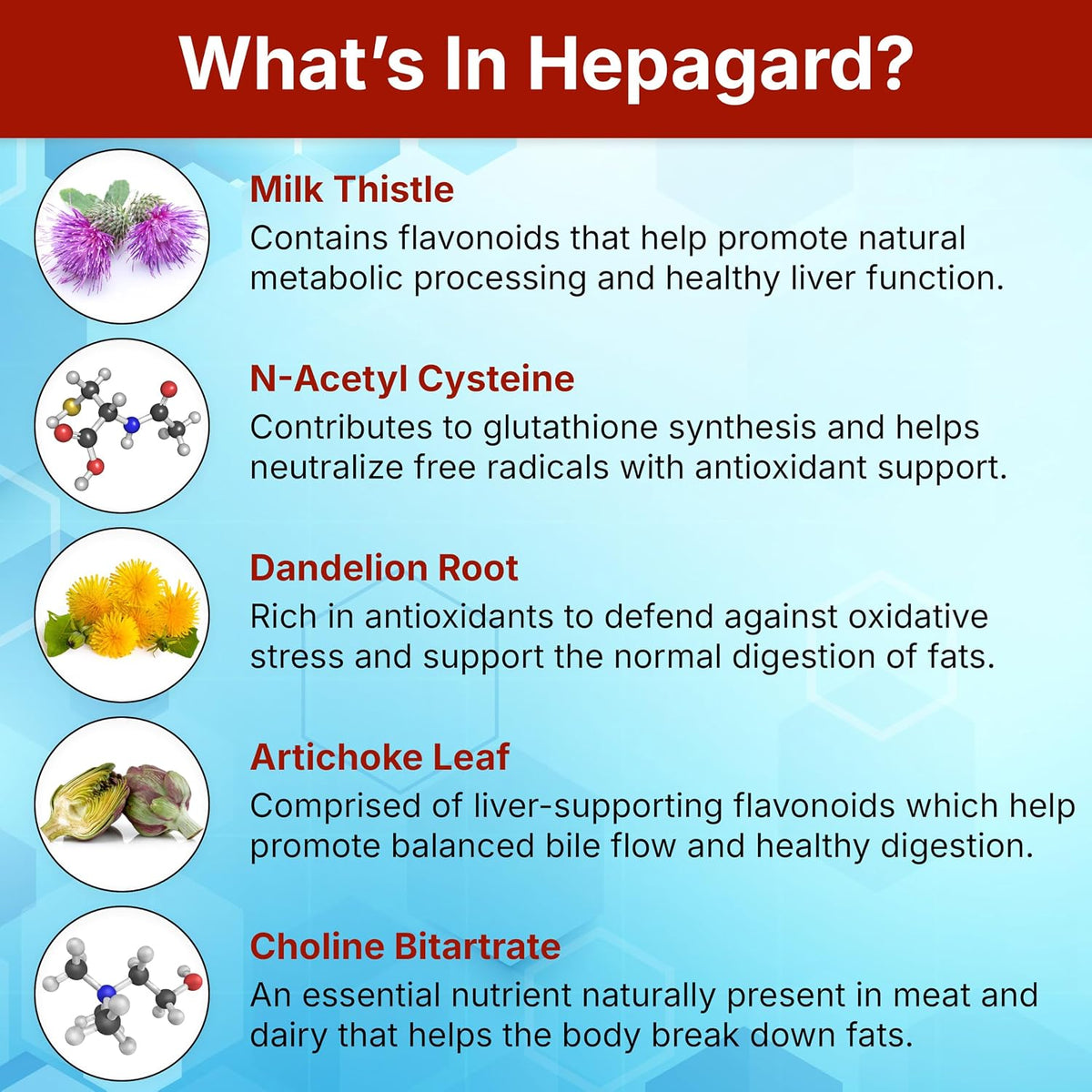 Hepagard Natural Liver Support Supplement with NAC, Vegan, Gluten-Free 30 Vegetable Capsules